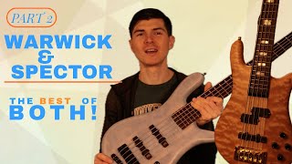 Warwick Streamer AND Spector Euro Sound Samples amp Thoughts [upl. by Natka848]