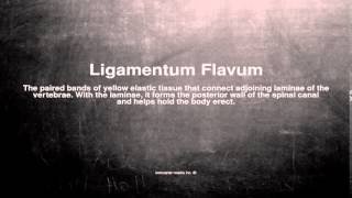 Medical vocabulary What does Ligamentum Flavum mean [upl. by Nnairek630]