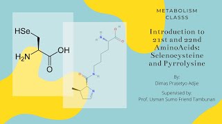 Introduction to 21st and 22nd Amino Acids Selenocysteine and Pyrrolysine [upl. by Morville]