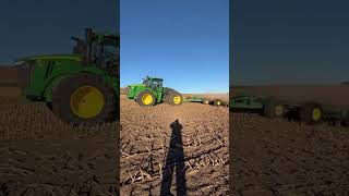 John Deere 9R 490 with a 2680H Disc prepping soil for wheat in the morning sunshine johndeere farm [upl. by Nodnerb]