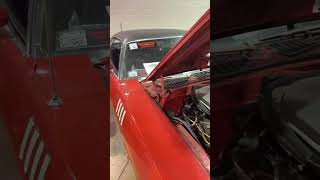 Barn Find Musclecars at MCACN 2024 [upl. by Fira]