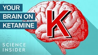 What Ketamine Actually Does To Your Brain  Insider Science [upl. by Derej]