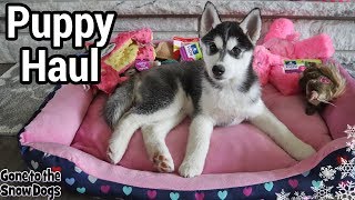 Everything I Bought For My New Husky Puppy Haul [upl. by Thinia]