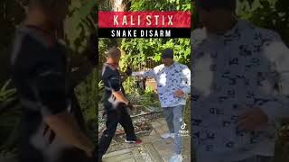 How to snake disarm Filipino Martial Arts techniques [upl. by Ednyl]