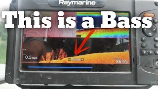 See Bass Catch Bass  Bass Fishing  How to Read a Fishfinder [upl. by Janaye]