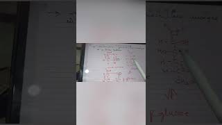 Difference between alpha Dglucose vs beta Dglucose easy explanation neet biochemistry mcatyt [upl. by Alpheus]