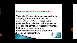 Monocistronic vs Polycistronic mRNA [upl. by Lan280]