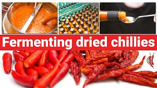 Fermenting Dried Chillies  Lets Make Hot Sauce [upl. by Coplin]