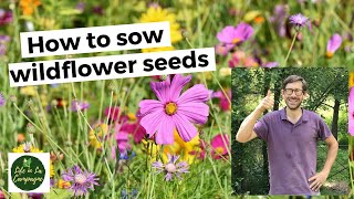 How to sow wildflower seeds [upl. by Akeinahs]