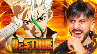 My FIRST TIME Reacting to Dr STONE Openings amp Endings  Dr STONE All Openings Reaction [upl. by Kciredohr846]