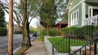 Dawn Redwood on Lake Ave in Inman Park [upl. by Raffaj242]