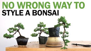 Create new bonsai nebari Force your bonsai to form a new root base Easy technique for a bonsaitree [upl. by Euh]