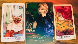 Leo 🍀BELIEVE ME LEO’S…I’M 1000 SURE ABOUT THIS  ♌️Tarot [upl. by Norrag125]