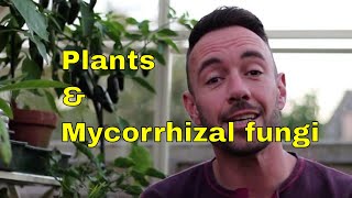 Mycorrhizal fungi and plant evolution [upl. by Crofoot]