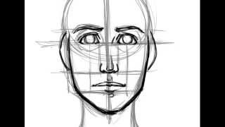 How to Draw a Face Basic Proportions [upl. by Enilram796]