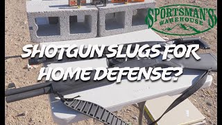 Shotgun Slugs for Home Defense [upl. by Baynebridge]