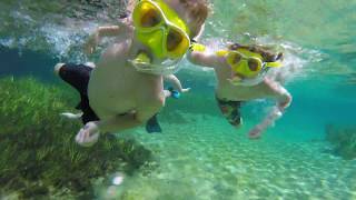 Kids snorkeling in freshwater spring 4K [upl. by Monreal393]