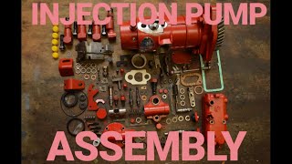 CAV DPA Diesel Injection pump FULL Assembly [upl. by Nocam]