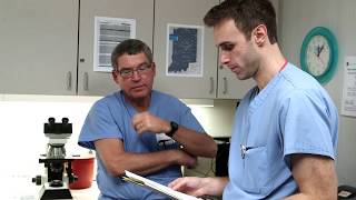 Kidney Stone Surgery amp Removal Procedures  Dr Brian D Hale [upl. by Anyahs]