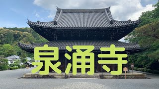 観光地探訪 泉涌寺 Sennyuji Temple [upl. by Orpha]