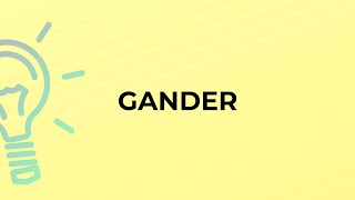 What is the meaning of the word GANDER [upl. by Burman]