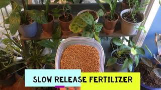 How To Fertilize Houseplants  I Added Slow Release Fertilizer To My Indoor Garden [upl. by Ermin428]