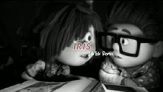 Goo Goo Dolls  Iris ft LoyisoLyricscazalaine [upl. by Amarillas18]