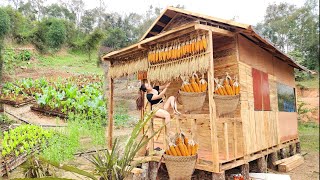 Decorate and beautify the Wooden House with Rice Corn Caring for fertilizing the Vegetable garden [upl. by Neelahtak]