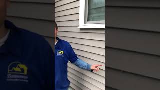 how to clean fly poop or artillery fungus stains off vinyl siding [upl. by Stelmach]