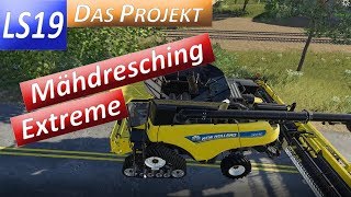 LS19 Mähdresching Extreme 2 Lara Croft der Mähwerke [upl. by Akena283]