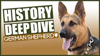 History Of The GERMAN SHEPHERD [upl. by Schwinn]