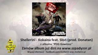 03 Shellerini  Kokaina feat SÅ‚oÅ„ prod Donatan [upl. by Dajma564]