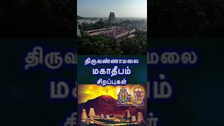 Maha Deepam Special I Tiruvannamalai maha Deepam [upl. by Ahsiaa767]