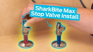 How to Install a SharkBite Max Stop Valve [upl. by Bernard]