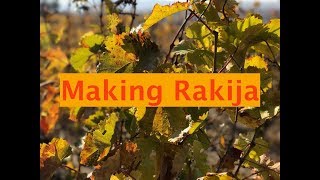 Making Rakija [upl. by Ramalahs]