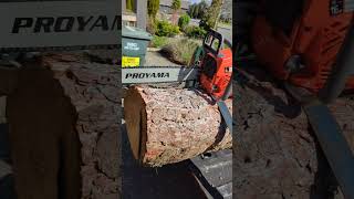 Proyama PCS68 Chainsaw Review [upl. by Cirilla]