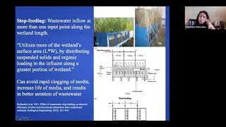 Constructed Wetland Design [upl. by Yleen292]