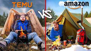 Amazon VS Temu Overnight Survival Challenge [upl. by Cline]