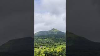 Nature beutiful 💚✨🌲🥀💫greenscreen 💚🌲sahyadre music song bollywood hindisong love [upl. by Anahsat]