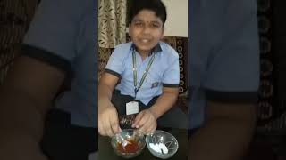 MDES Chicholi Kushal Lokhande Experiment 8 th class [upl. by Johiah]