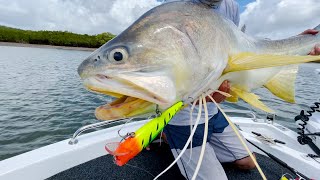 MONSTER Threadfin Salmon Fishing in Hervey Bay  Hervey Bay Fly and Sportfishing [upl. by Erbua721]