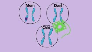 Modes of Inheritance  De Novo  A Primer for Patients amp Parents [upl. by Ezzo712]