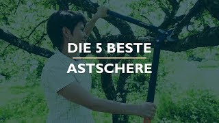 Die 5 Beste Astschere Test [upl. by Sucramat]