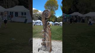 Exploring Paihia New Zealand shorts travel nature [upl. by Ruthie]