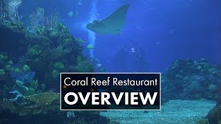 Coral Reef Restaurant  Epcot [upl. by Barthel]