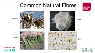 Introduction to natural fibres [upl. by Amato19]