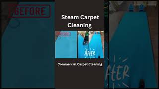 Carpet Cleaning Commercial [upl. by Jennifer]