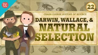 Darwin and Natural Selection Crash Course History of Science 22 [upl. by Bacchus]