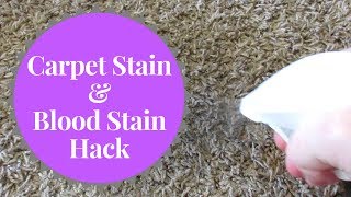 Life Hack Thursday How to Remove Carpet Stains amp Blood Stains [upl. by Nahtanaj945]