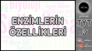 7 Enzimlerin Özellikleri [upl. by Adnohs166]